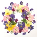 押し花 素材 15