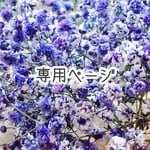 専用ページ