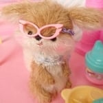 ☆F様専用の わんちゃん達2体です☆