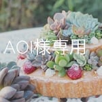 aoi様専用  ガーランドトップ