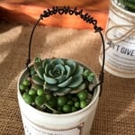 多肉植物 リメイク缶寄植え 取手付き 七福神