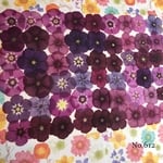 ♡人気作品♡ 作家様必見！ 落ち着いた大人カラー♡フロックス押し花セット
