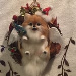 羊毛フェルトポメラニアンのクリスマスリース