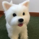 goldmoonstar様オーダー品ウエストハイランドホワイトテリア