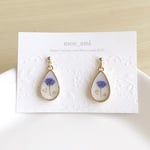 押し花　かすみ草　雫ピアス／イヤリング