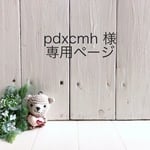 【pdxcmh様専用ページ】ポーチとショルダーバッグ