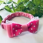 ふりふり姫系カラー♡