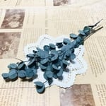 グニーユーカリ（国産）☆グリーン☆ハーバリウム☆スワッグ