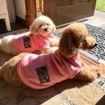 犬服♡ベビーピンクのぬくぬくタンクトップ