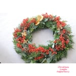 ＜Order＞Christmas Wreath RedPepper 35　クリスマスリース　レッドペッパー