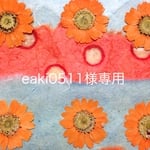 eaki0511様専用