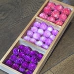 お花屋さんが作った千日紅のドライフラワー41冠set