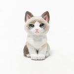 コルクのラグドール子猫