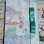おすそ分けファイル28　manetネコ雨×mtパステルグリーンマステ
