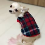 フリースニット タータンチェック柄タンクトップ