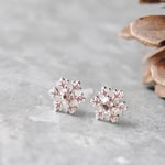 ✿ snow crystal ピアス ✿  数量限定