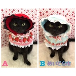 いちご柄ケープ、猫ちゃんの首輪