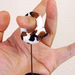 fla様専用商品『ニャトラップ』三毛