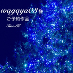 ✨wagaya03様 ご予約作品✨