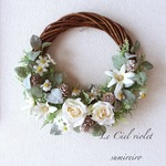 Le Jardin de fleur フランネルフラワー