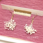 ♡500♡人気♡かすみ草のイヤリング／ピアス