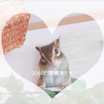 再販リクエスト⭐️20600様専用⭐️