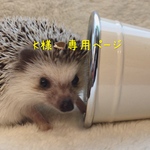 受注生産⁂K様専用