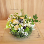 Petit Green Arrange 284