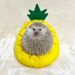【A様専用】パイナップルのビーズクッション