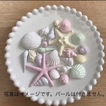 シェル アロマ ストーン 23個