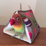 冬のまこもヒュッテ(eto)〜バードテント〜