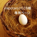 mipotaro1028様専用ページ