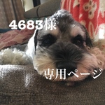 4683様専用ページ