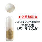 【送料無料】パジコレジン専用着色剤 宝石の雫［パールキスカ］5ml　(No.403251)