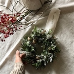 長く飾れるベルギーナッツとコチアのクリスマスリース ドライフラワー(ボックス入り)