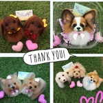 evechin様 オーダー犬 羊毛フェルトストラップ