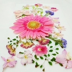 ガーベラとその他の押し花素材