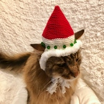 クリスマス帽子24