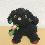 三色＊トイプードル