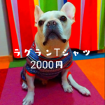《フレンチブルドッグ》ノルディックラグラン