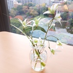 ~限定~水♡まるで本物 揺れるホワイトフラワーアレンジ、ミニブーケハーバリウム