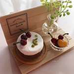 ミニチュア＊ダークチェリーとチョコレートケーキset♡