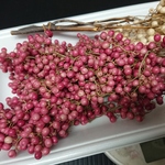 送料込★ペッパーベリー ドライピンク 100g