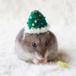 小動物のクリスマスツリー帽子