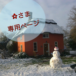 ☆さま 専用ページ⛄️❄️