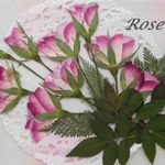 ★　　バラ横向き　押し花素材　★