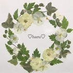 押し花素材  ナチュラルグリーンリース