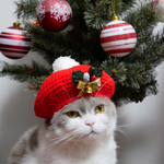 クリスマスベレー帽