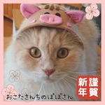 送料無料☆彡2019年干支亥猪いのししウリ坊風〜猫のかぶりもの 