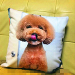 ✩ハンドメイド✩　ワンちゃんのオーダークッションカバー50cm